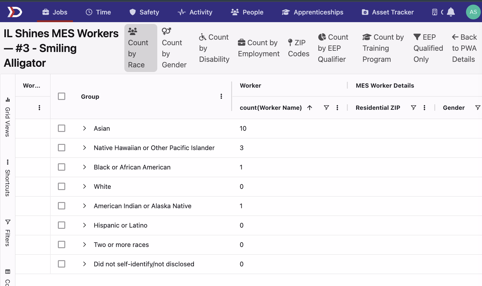 IL Shines MES Workers grid with category buttons across the top — Count by Race, Count by Gender, Count by Disability, Count by Employment, ZIP Codes, Count by EEP Qualifier, Count by Training Program, EEP Qualified Only — and a Group column showing race categories with worker counts