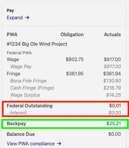 Pay section showing Federal Outstanding of $0.01 in a red box and Backpay of $25.21 in a green box