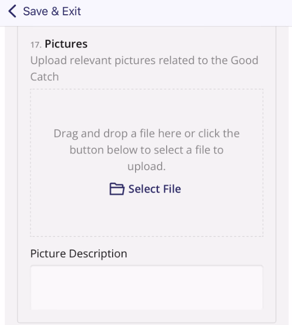 Photo upload question field with Select File button and drag-and-drop area