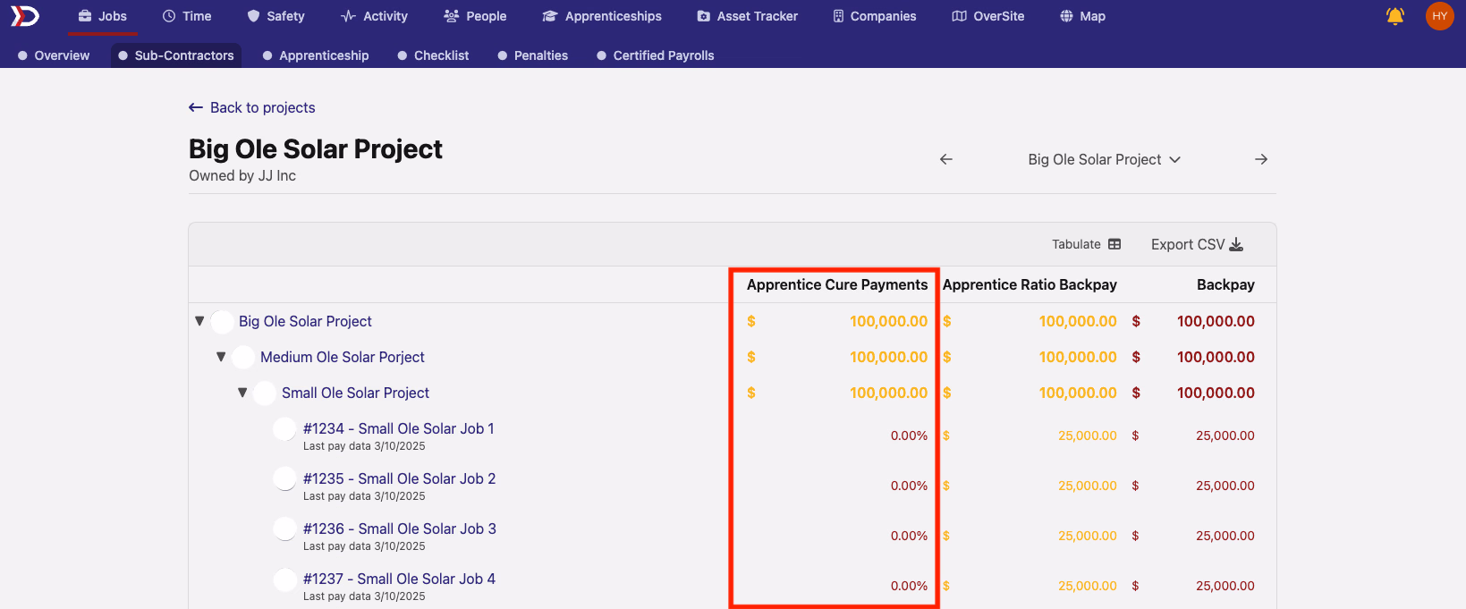 Sub-Contractors tab with Apprentice Cure Payments column highlighted