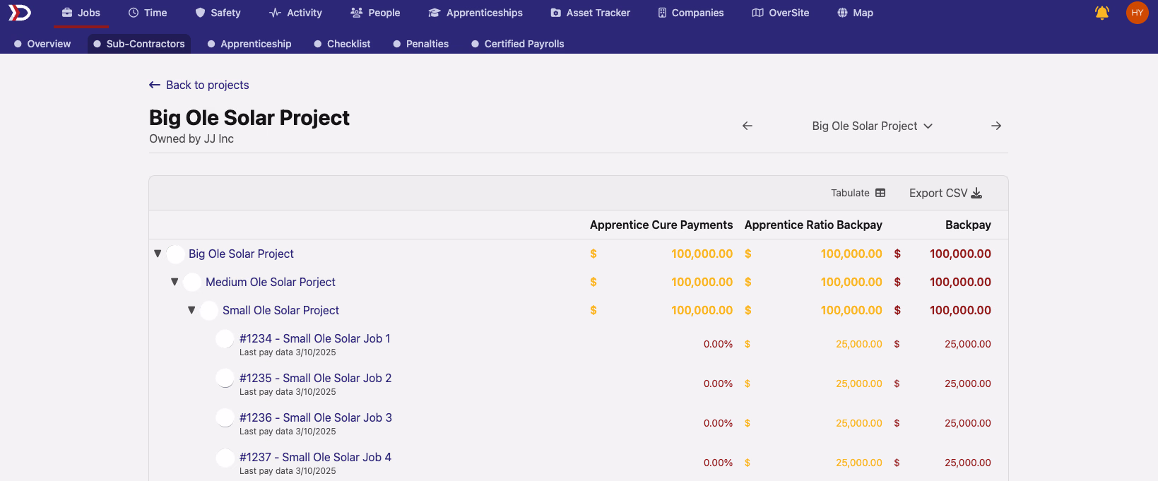 Sub-Contractors tab overview showing project hierarchy with apprentice cure payments, ratio backpay, and backpay columns