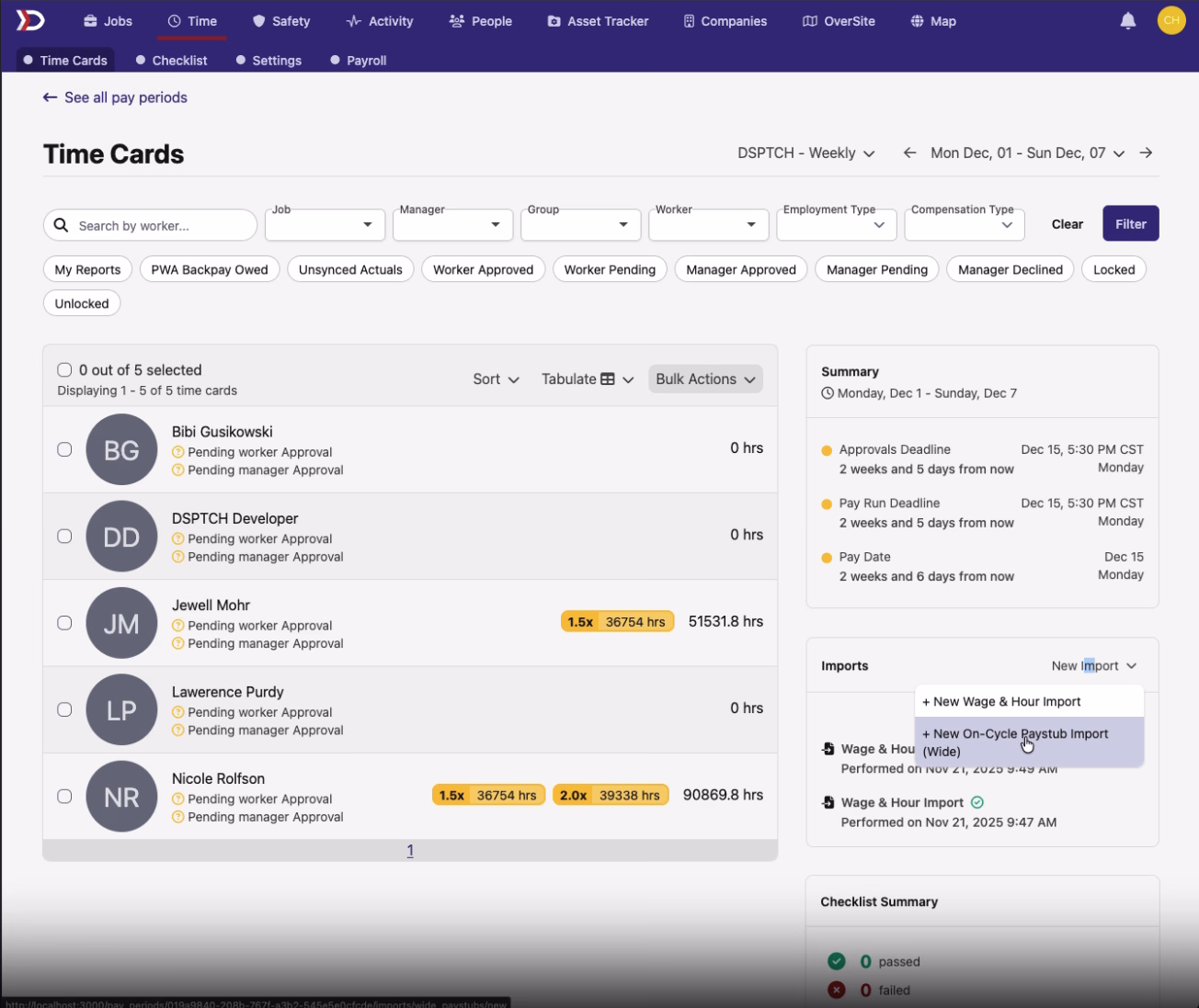 Wide format paystub import interface