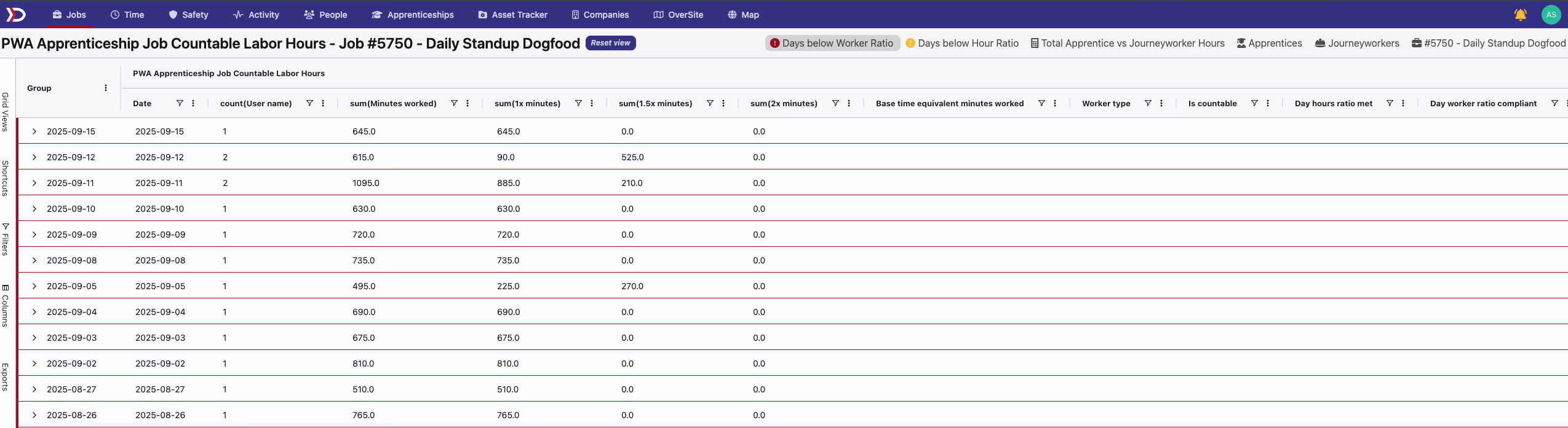 PWA Apprenticeship job labor hours data grid showing rows with date, worker, and hour columns; compliance-status color coding distinguishes standard, warning, and error rows