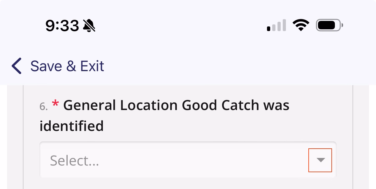 Dropdown field showing down arrow indicator on the right side