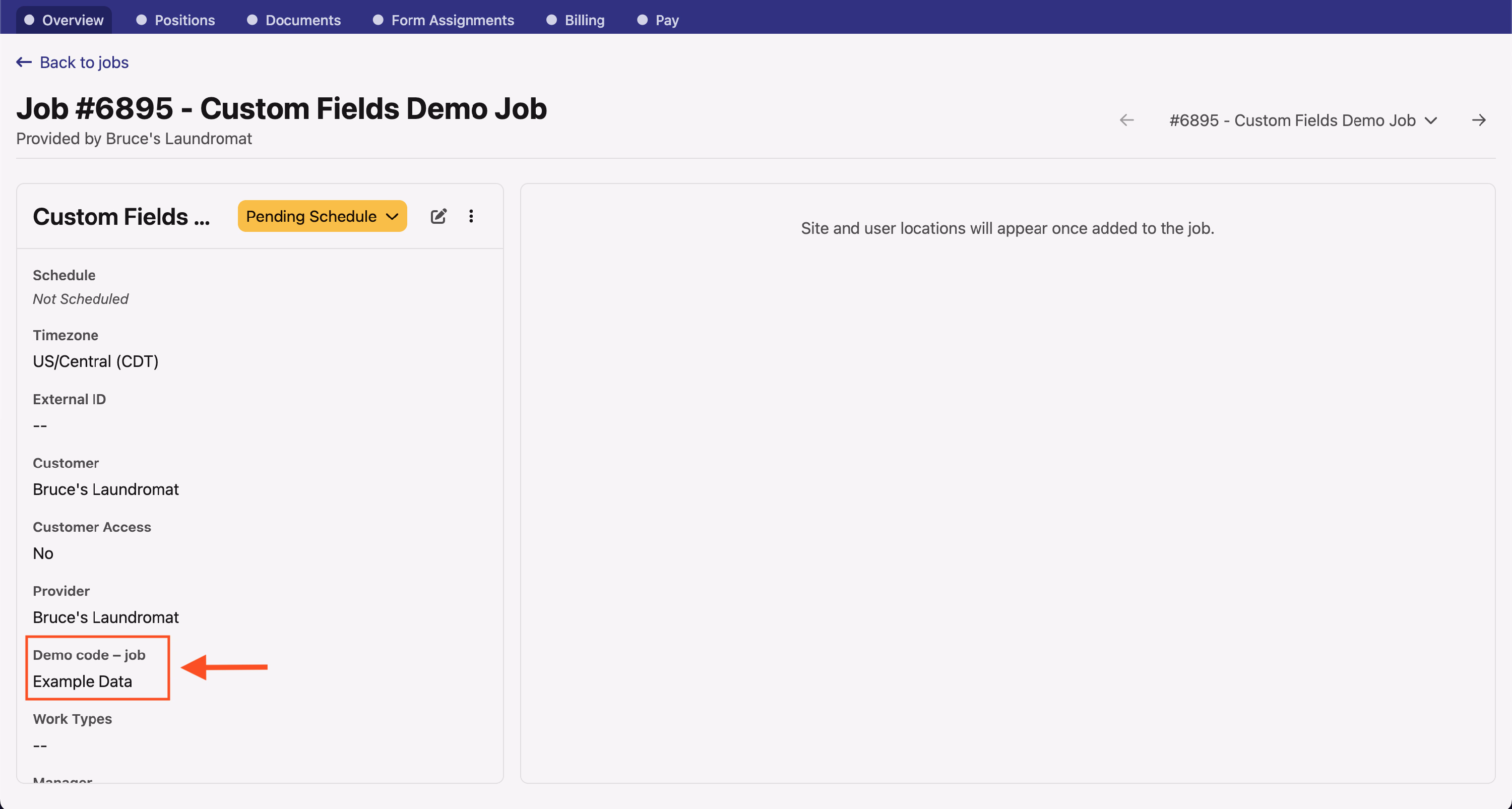 Job overview tab showing custom field value in the sidebar with red box callout