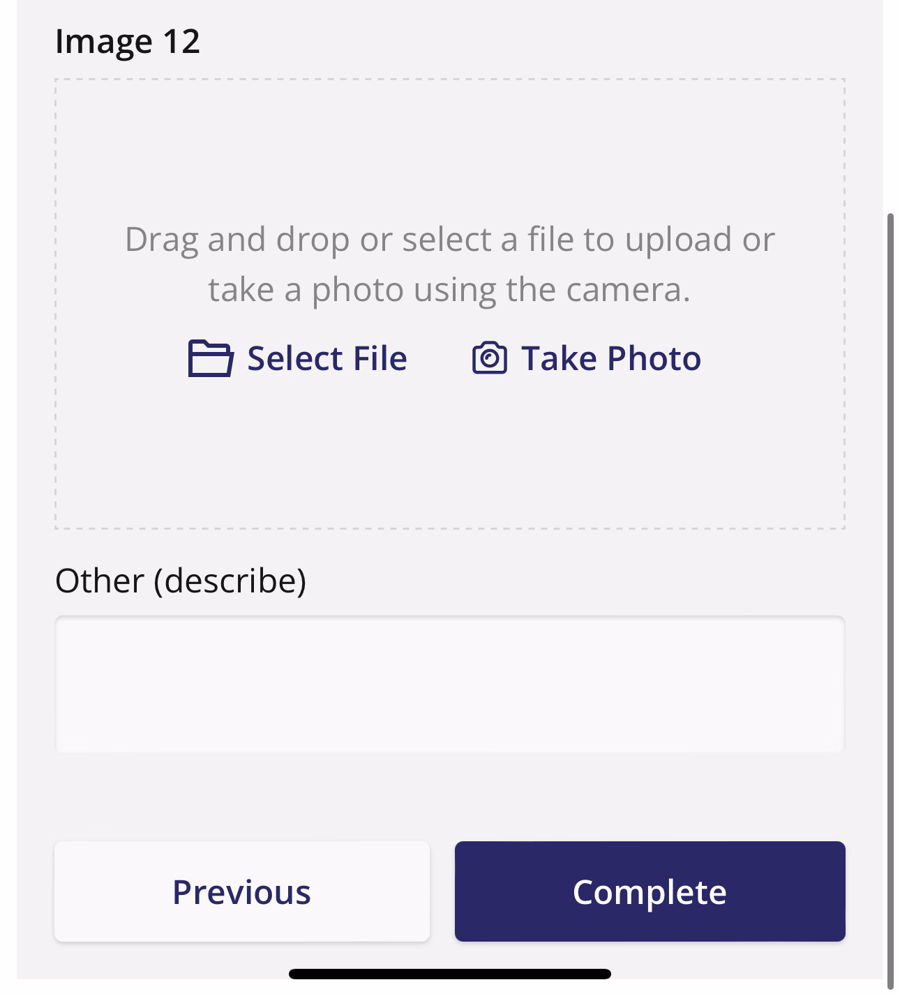 Bottom of final form page showing Previous and Complete buttons