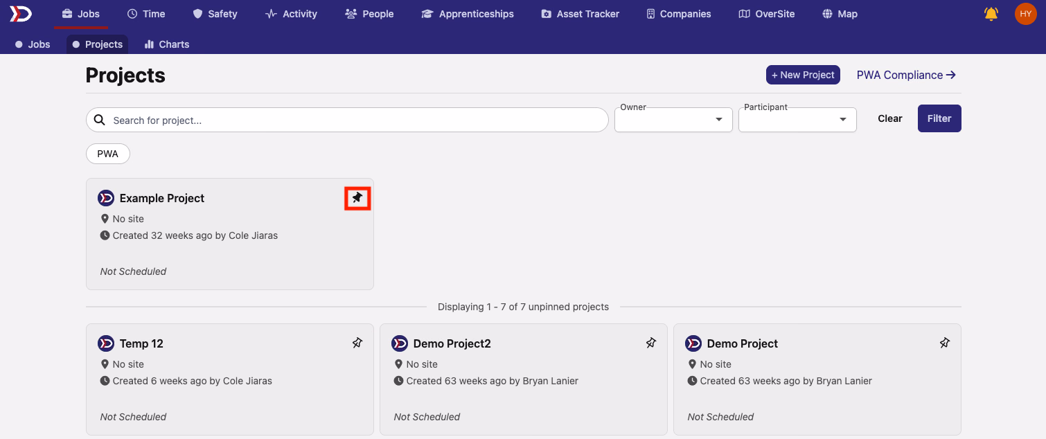 Projects list showing a pinned project at the top with filled pin icon