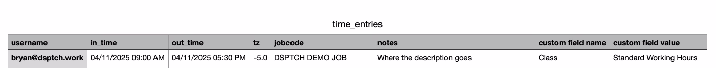 time_entries spreadsheet showing username, in_time, out_time, tz, jobcode, notes, custom field name, and custom field value columns