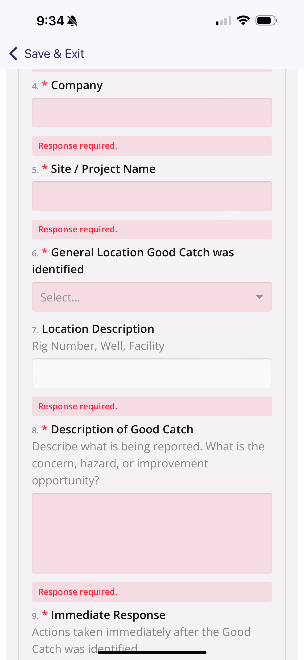 Form fields highlighted in red with Response required messages after failed submission